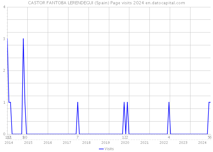 CASTOR FANTOBA LERENDEGUI (Spain) Page visits 2024 