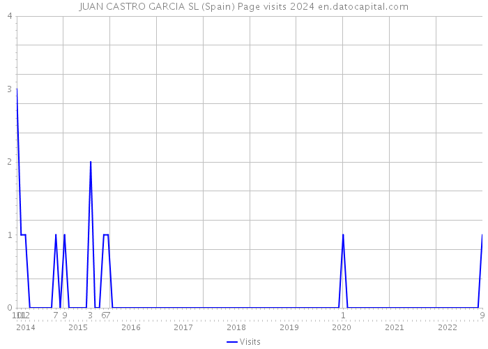 JUAN CASTRO GARCIA SL (Spain) Page visits 2024 