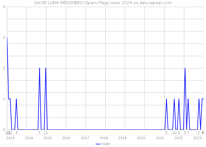DAVID LUNA MESONERO (Spain) Page visits 2024 