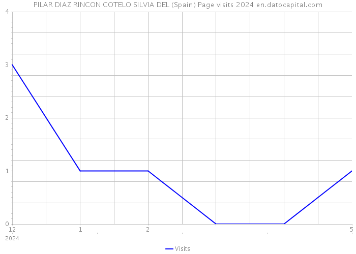 PILAR DIAZ RINCON COTELO SILVIA DEL (Spain) Page visits 2024 