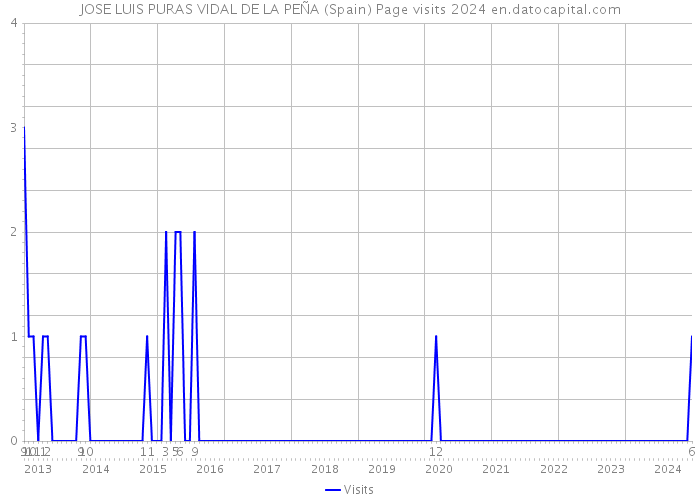 JOSE LUIS PURAS VIDAL DE LA PEÑA (Spain) Page visits 2024 