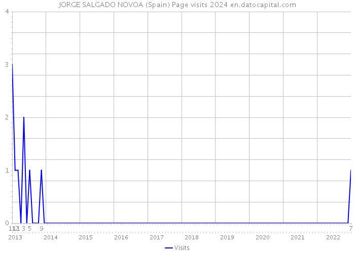 JORGE SALGADO NOVOA (Spain) Page visits 2024 