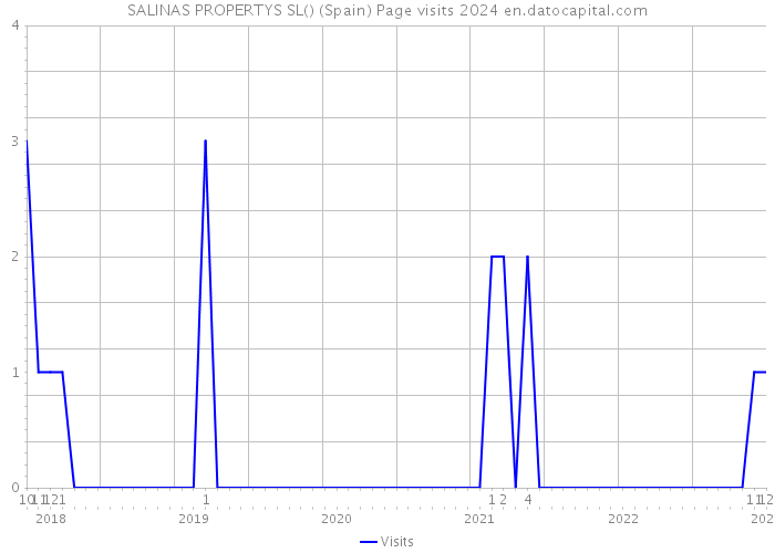 SALINAS PROPERTYS SL() (Spain) Page visits 2024 
