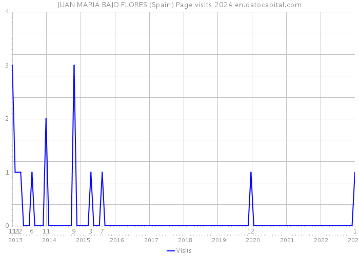 JUAN MARIA BAJO FLORES (Spain) Page visits 2024 