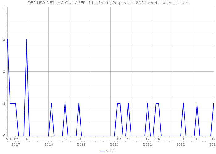 DEPILEO DEPILACION LASER, S.L. (Spain) Page visits 2024 