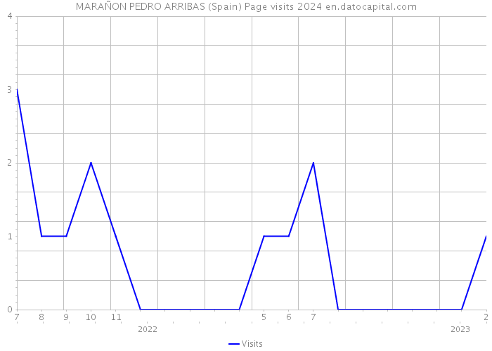 MARAÑON PEDRO ARRIBAS (Spain) Page visits 2024 