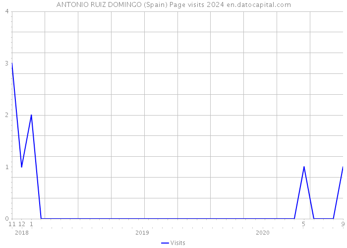 ANTONIO RUIZ DOMINGO (Spain) Page visits 2024 