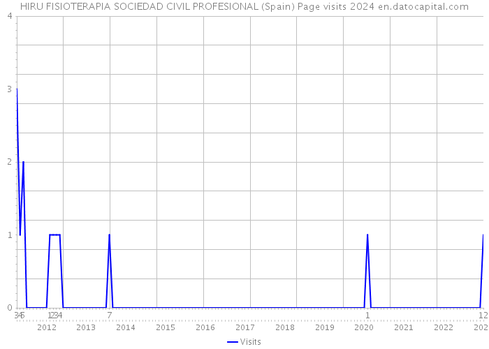 HIRU FISIOTERAPIA SOCIEDAD CIVIL PROFESIONAL (Spain) Page visits 2024 