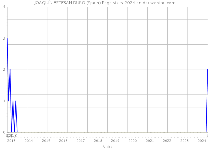 JOAQUÍN ESTEBAN DURO (Spain) Page visits 2024 
