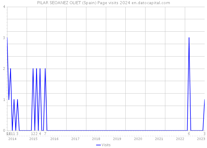 PILAR SEOANEZ OLIET (Spain) Page visits 2024 