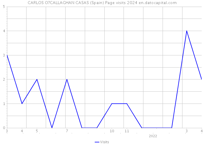 CARLOS O?CALLAGHAN CASAS (Spain) Page visits 2024 