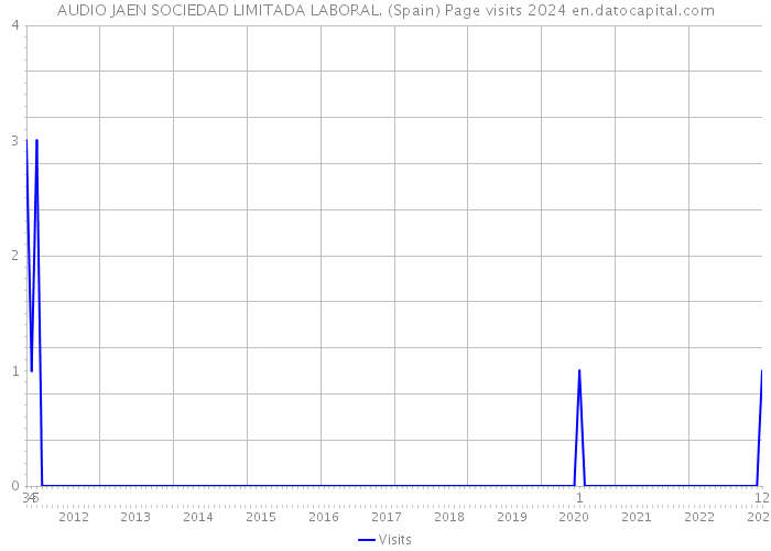 AUDIO JAEN SOCIEDAD LIMITADA LABORAL. (Spain) Page visits 2024 