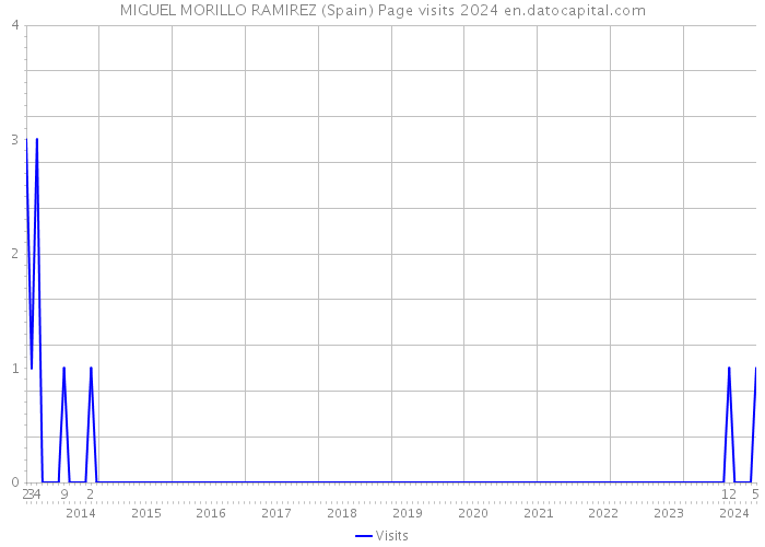 MIGUEL MORILLO RAMIREZ (Spain) Page visits 2024 