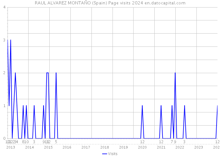 RAUL ALVAREZ MONTAÑO (Spain) Page visits 2024 