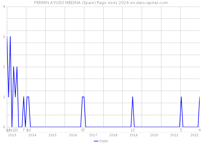 FERMIN AYUSO MEDINA (Spain) Page visits 2024 