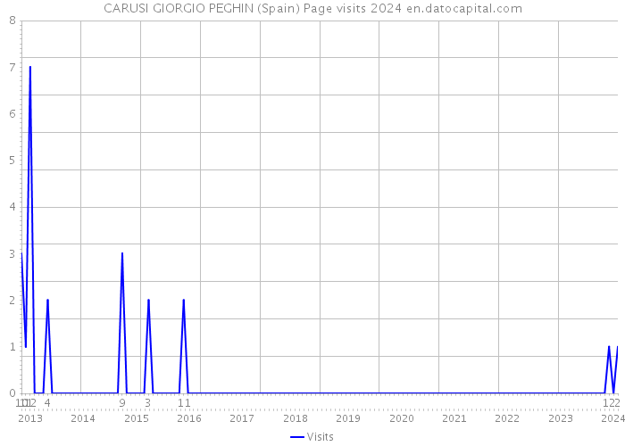 CARUSI GIORGIO PEGHIN (Spain) Page visits 2024 