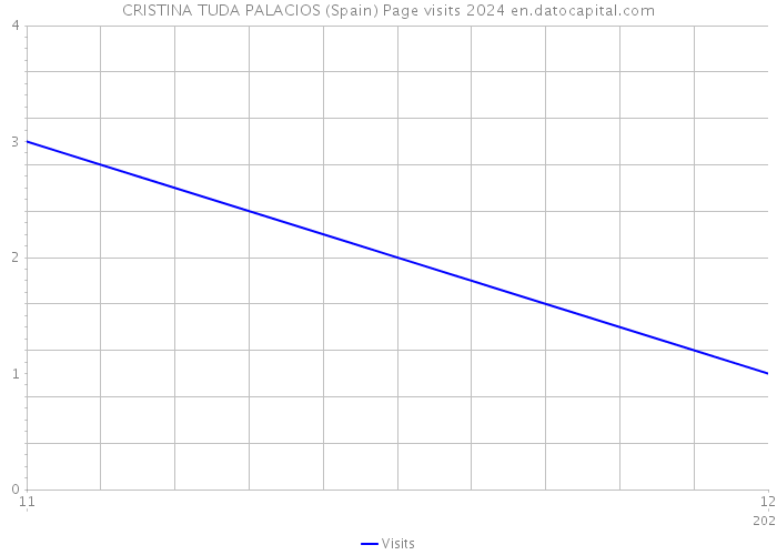 CRISTINA TUDA PALACIOS (Spain) Page visits 2024 