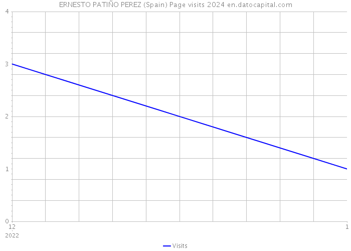 ERNESTO PATIÑO PEREZ (Spain) Page visits 2024 