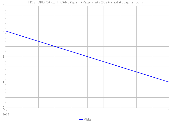 HOSFORD GARETH CARL (Spain) Page visits 2024 