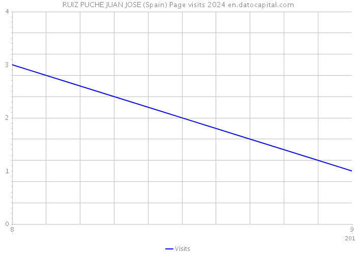 RUIZ PUCHE JUAN JOSE (Spain) Page visits 2024 