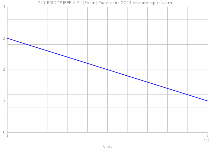 SKY BRIDGE IBERIA SL (Spain) Page visits 2024 