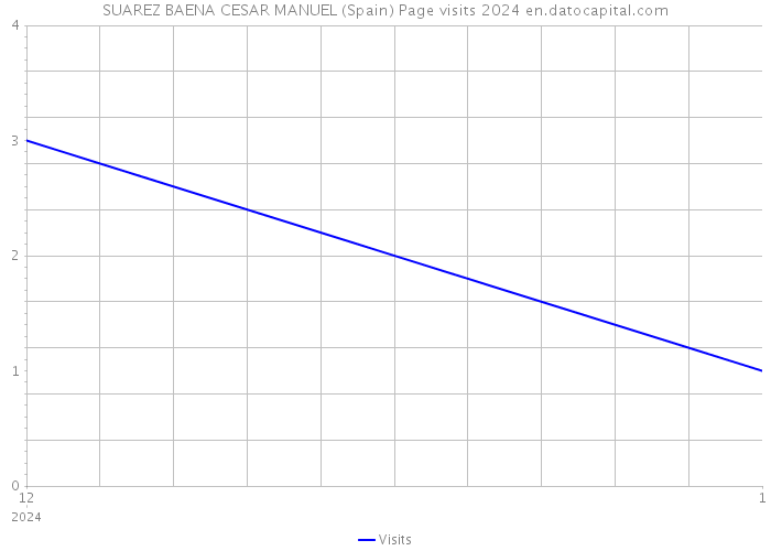 SUAREZ BAENA CESAR MANUEL (Spain) Page visits 2024 