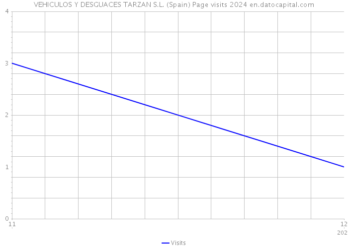 VEHICULOS Y DESGUACES TARZAN S.L. (Spain) Page visits 2024 