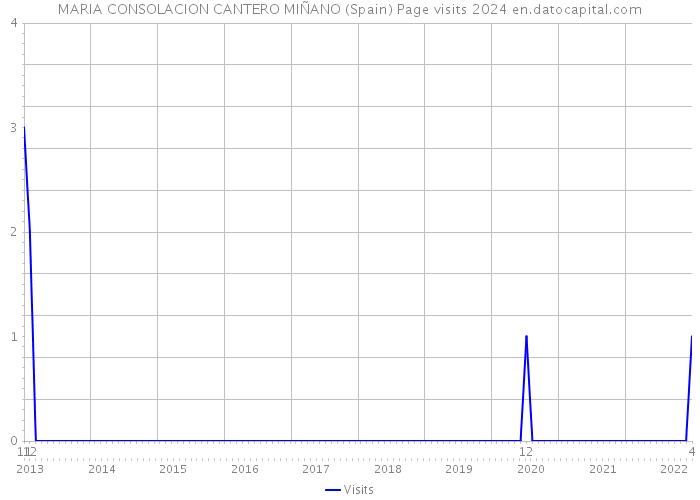 MARIA CONSOLACION CANTERO MIÑANO (Spain) Page visits 2024 