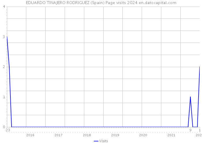 EDUARDO TINAJERO RODRIGUEZ (Spain) Page visits 2024 