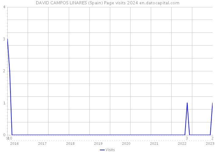 DAVID CAMPOS LINARES (Spain) Page visits 2024 