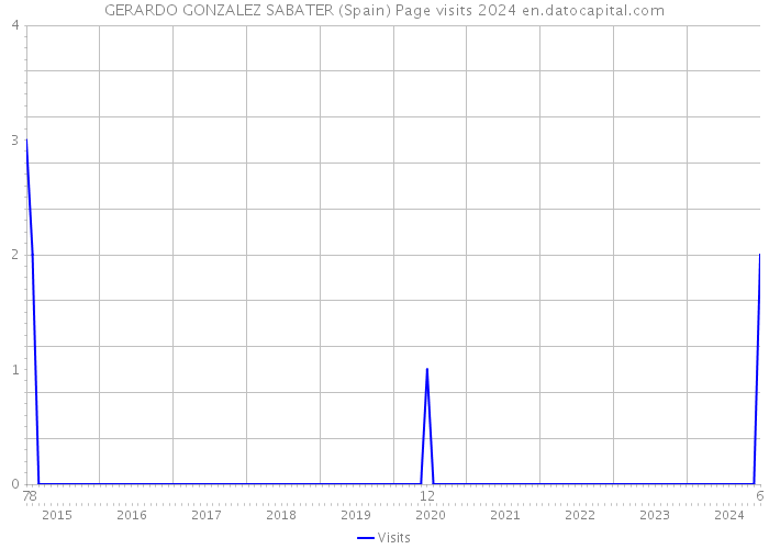 GERARDO GONZALEZ SABATER (Spain) Page visits 2024 