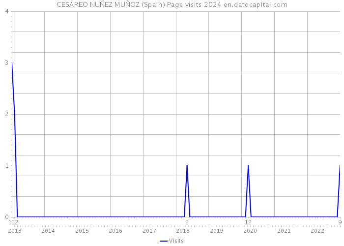 CESAREO NUÑEZ MUÑOZ (Spain) Page visits 2024 