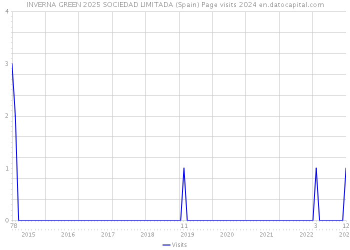 INVERNA GREEN 2025 SOCIEDAD LIMITADA (Spain) Page visits 2024 