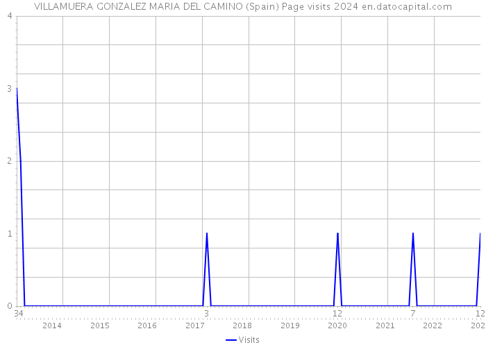 VILLAMUERA GONZALEZ MARIA DEL CAMINO (Spain) Page visits 2024 