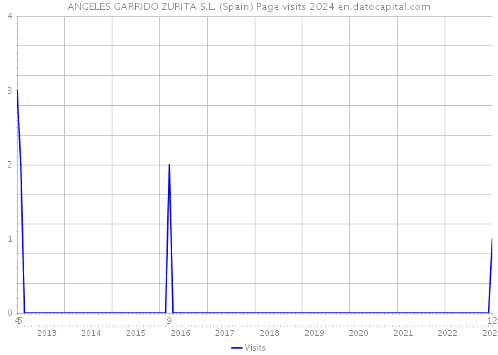 ANGELES GARRIDO ZURITA S.L. (Spain) Page visits 2024 