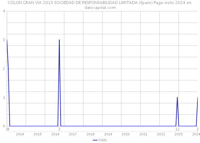COLON GRAN VIA 2013 SOCIEDAD DE RESPONSABILIDAD LIMITADA (Spain) Page visits 2024 