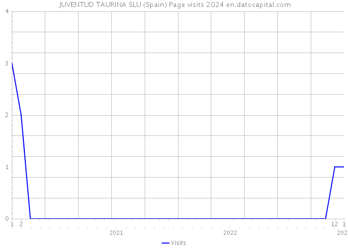  JUVENTUD TAURINA SLU (Spain) Page visits 2024 