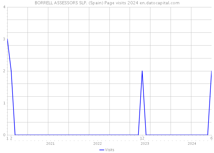 BORRELL ASSESSORS SLP. (Spain) Page visits 2024 