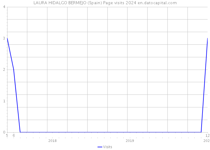 LAURA HIDALGO BERMEJO (Spain) Page visits 2024 
