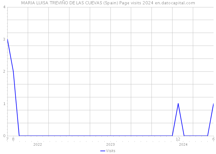 MARIA LUISA TREVIÑO DE LAS CUEVAS (Spain) Page visits 2024 