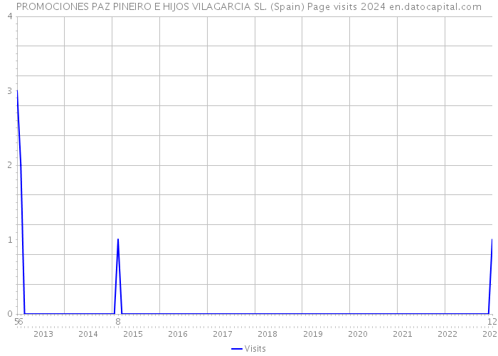 PROMOCIONES PAZ PINEIRO E HIJOS VILAGARCIA SL. (Spain) Page visits 2024 