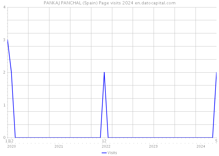 PANKAJ PANCHAL (Spain) Page visits 2024 