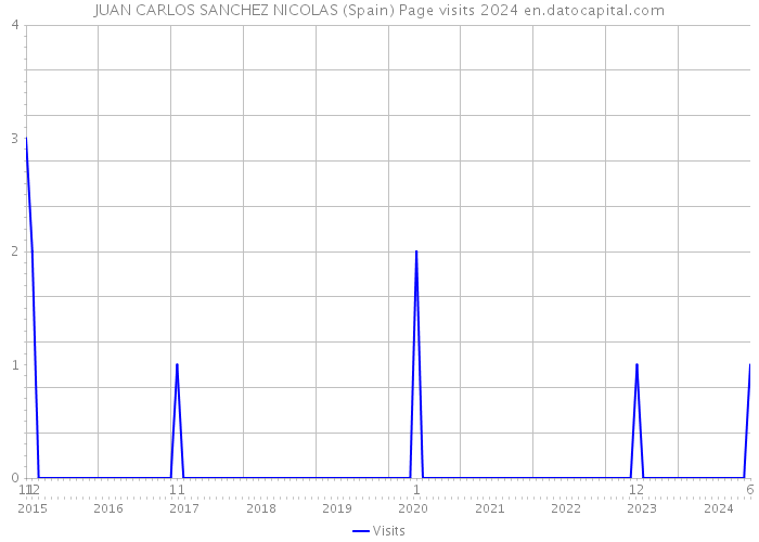 JUAN CARLOS SANCHEZ NICOLAS (Spain) Page visits 2024 