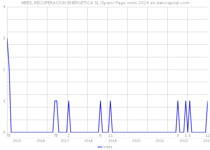 WEES, RECUPERACION ENERGETICA SL (Spain) Page visits 2024 