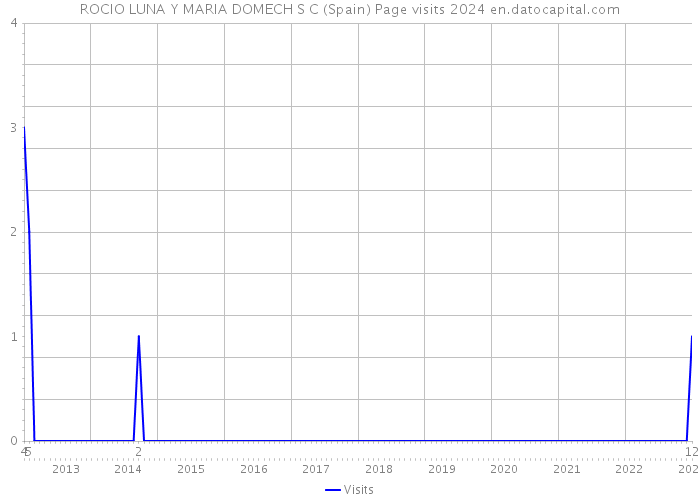 ROCIO LUNA Y MARIA DOMECH S C (Spain) Page visits 2024 