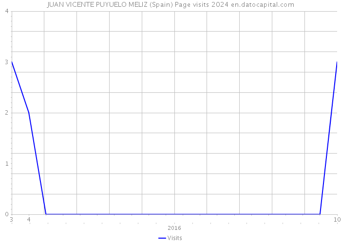 JUAN VICENTE PUYUELO MELIZ (Spain) Page visits 2024 