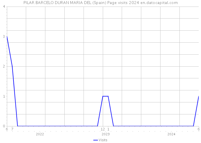 PILAR BARCELO DURAN MARIA DEL (Spain) Page visits 2024 