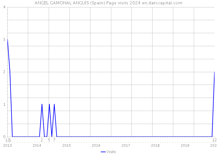 ANGEL GAMONAL ANGUIS (Spain) Page visits 2024 
