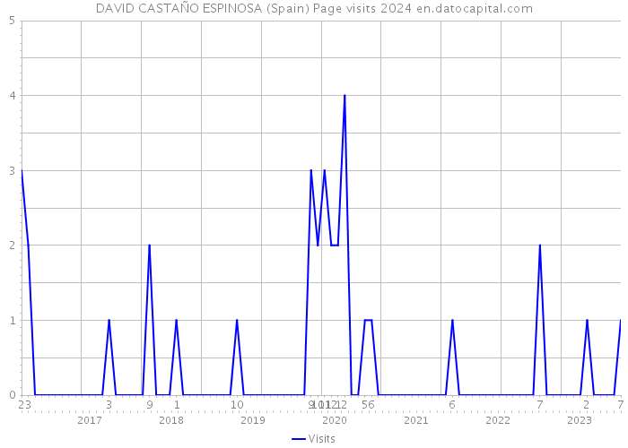 DAVID CASTAÑO ESPINOSA (Spain) Page visits 2024 