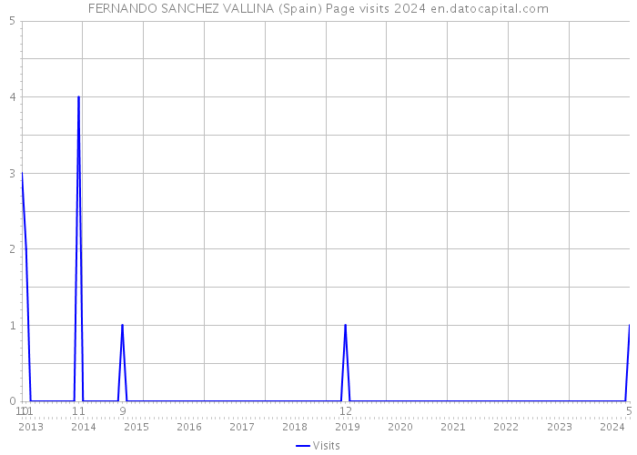 FERNANDO SANCHEZ VALLINA (Spain) Page visits 2024 